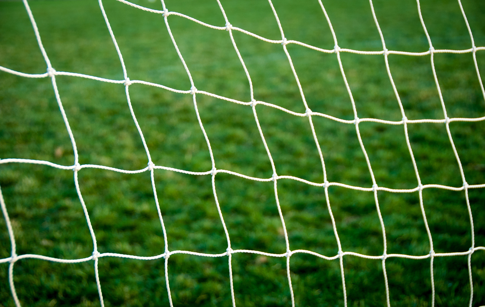 15' x 28' Commercial Grade 2" Nylon Netting Soccer Net Beach Barrier Backstop #7 